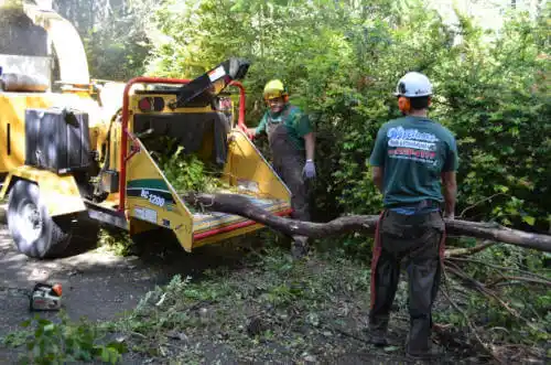 tree services Council Grove